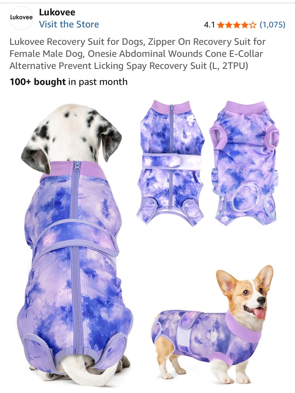 Purple Tie-Dye Recovery Suit for Dogs - Zippered Post-Op Onesie